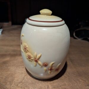 Vintage Hull Ceramic Cookie Jsr